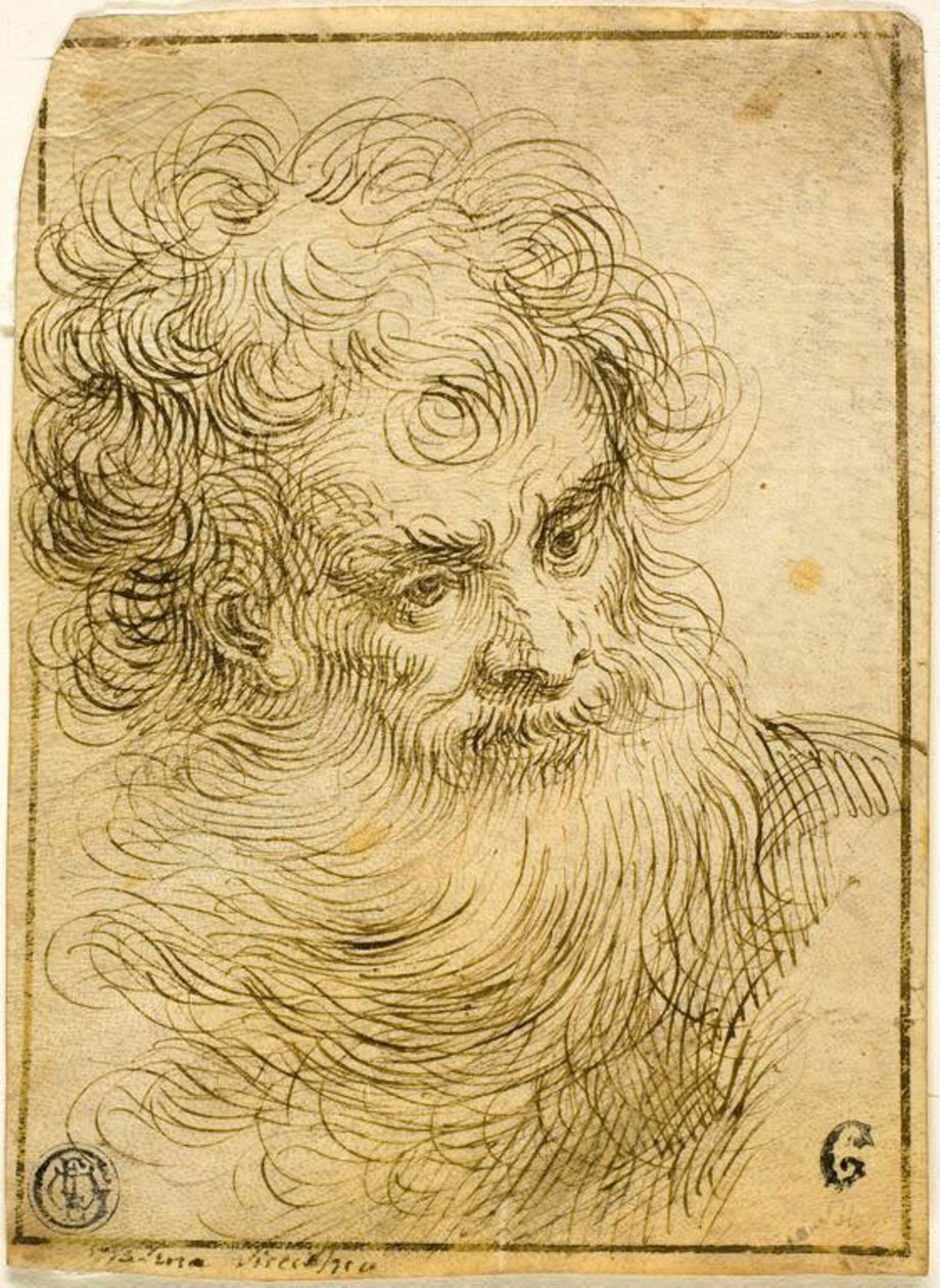 Tête de vieil homme barbu (recto); Croquis décoratif de fleur et feuilles (verso) - Jacopo Palma il Giovane