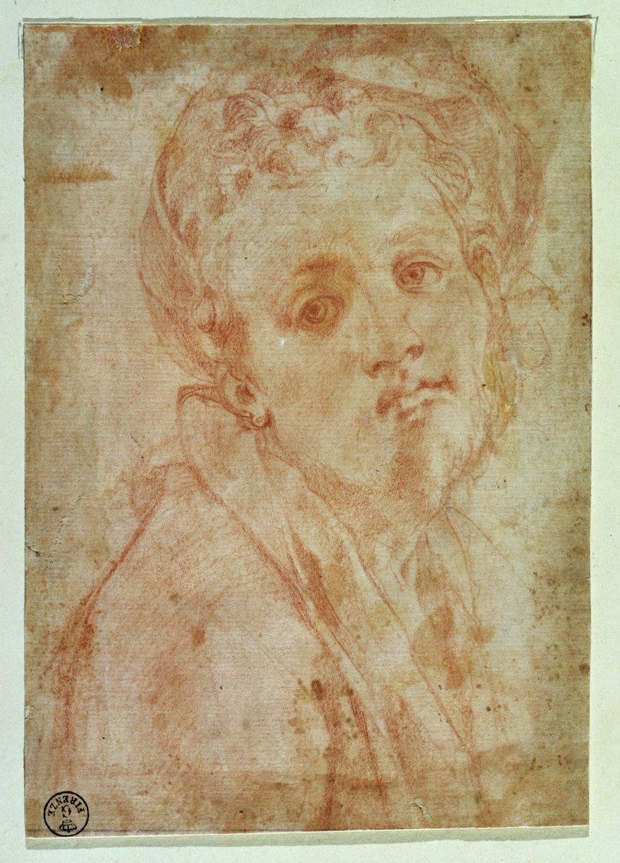 Autoportrait - Jacopo Pontormo
