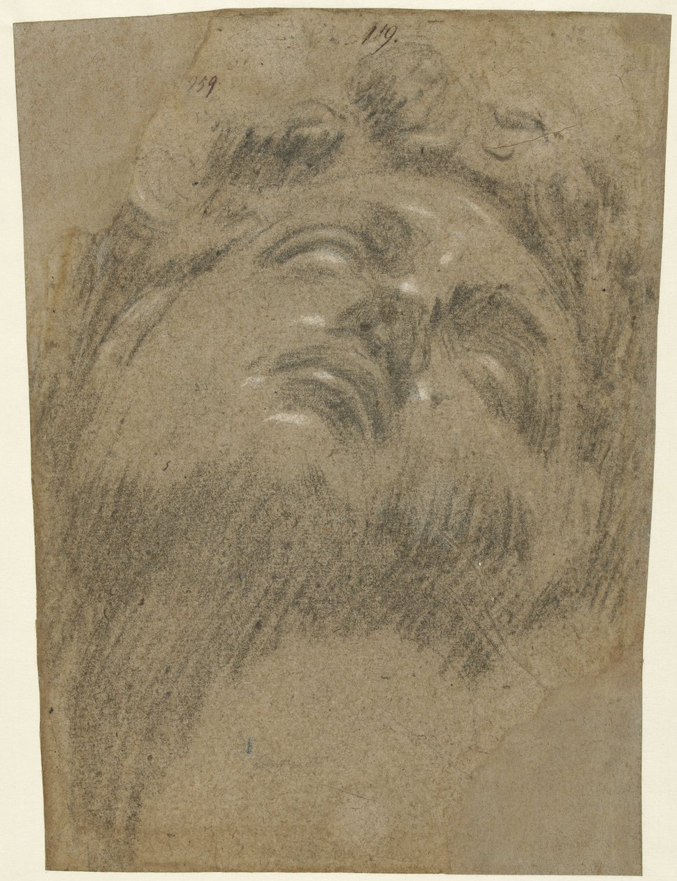 Giuliano dei Medici d