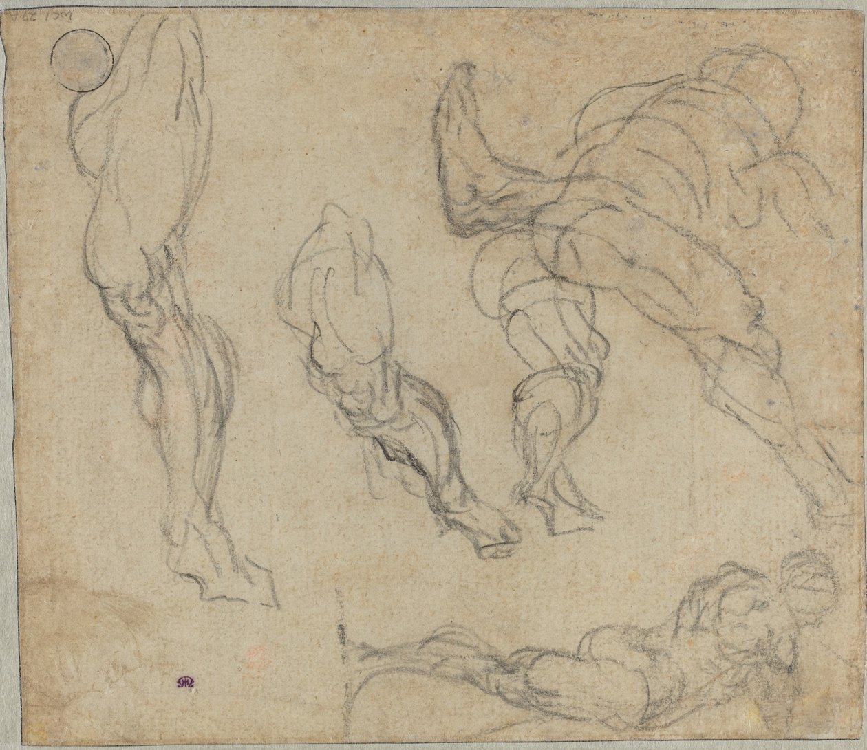 Figures et jambes (verso) - Jacopo Tintoretto