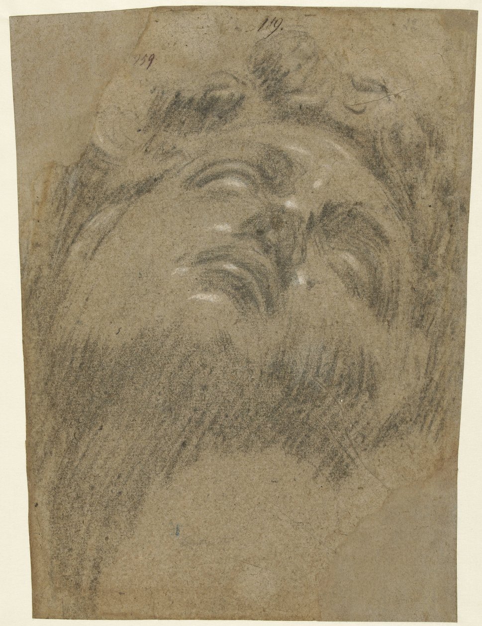 Tête de Giuliano dei Medici - Jacopo Tintoretto