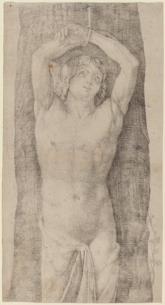 Saint Sébastien - Jacopo de Barbari