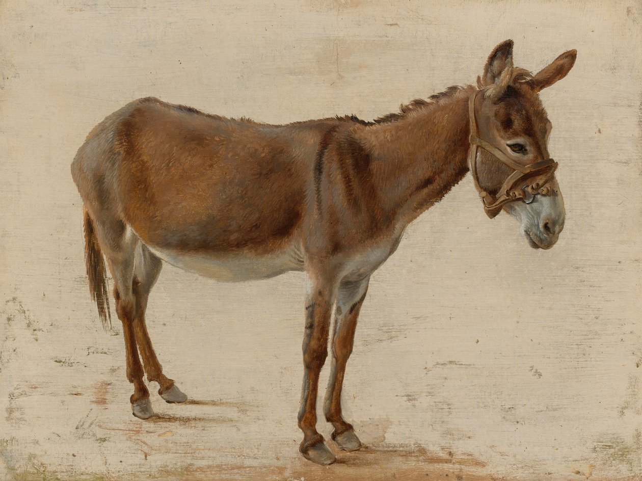 Un âne - Jacques-Laurent Agasse
