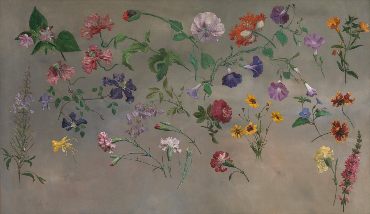 Études de fleurs - Jacques-Laurent Agasse