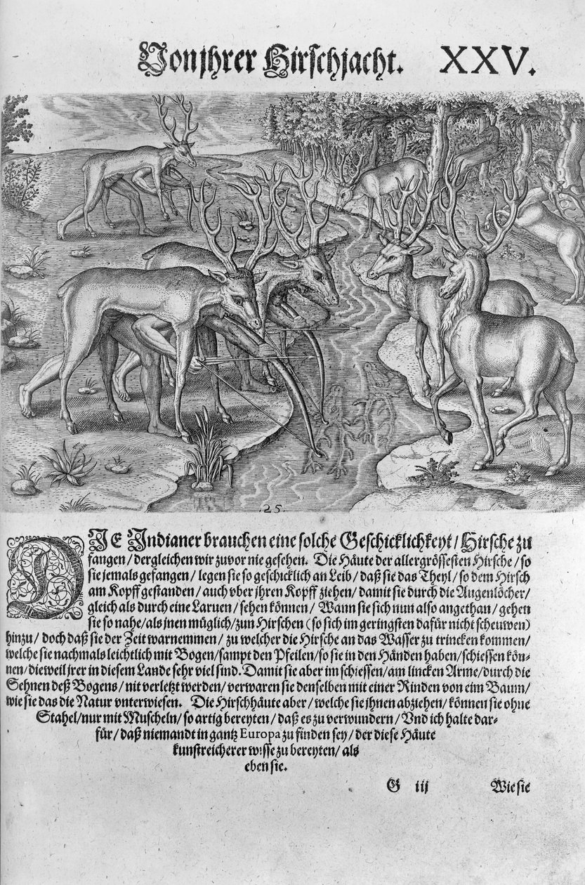 Indiens de Floride chassant des cerfs déguisés sous des peaux de cerfs, de 