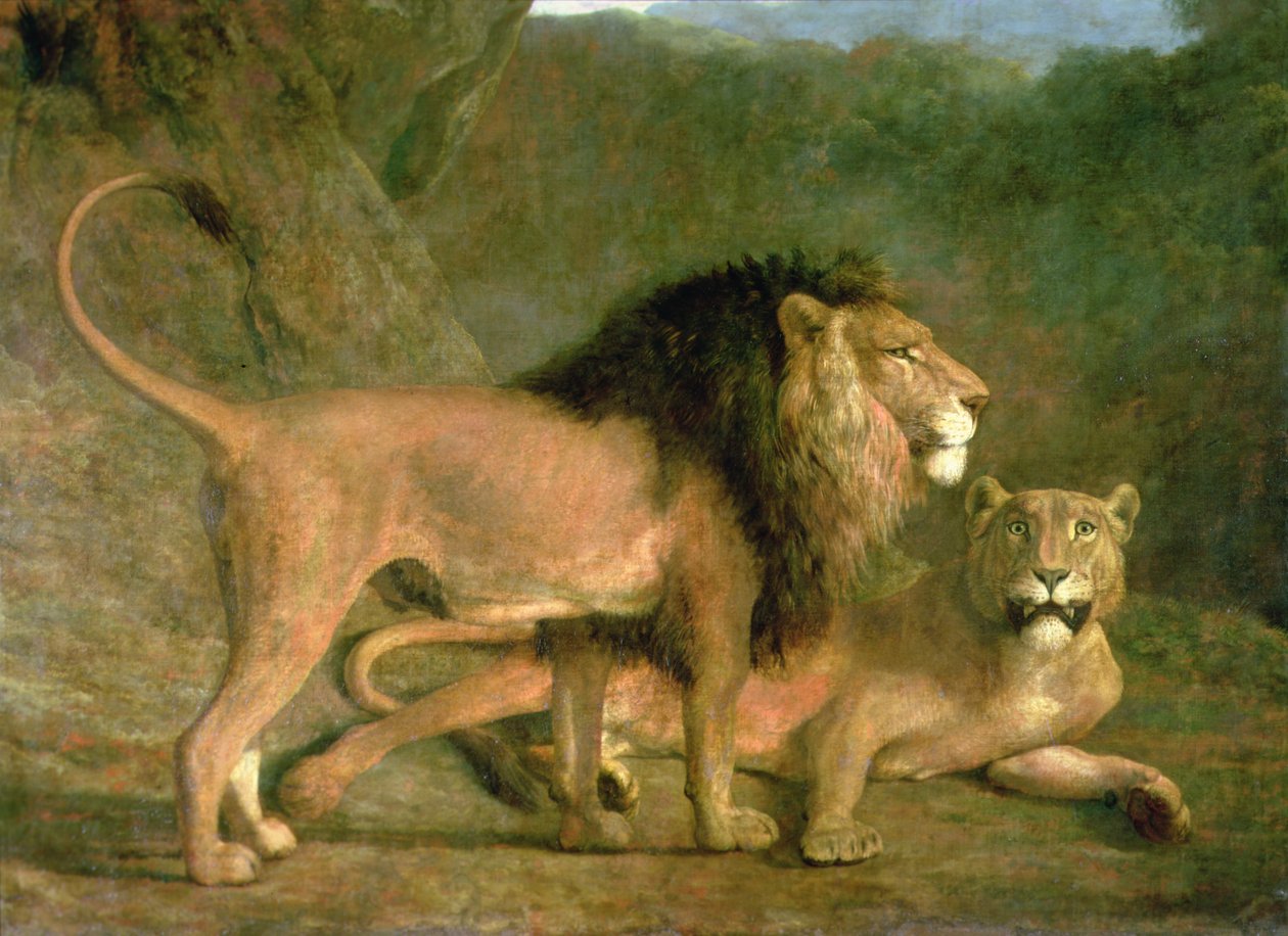 Un lion et une lionne dans une vallée rocheuse - Jacques Laurent Agasse