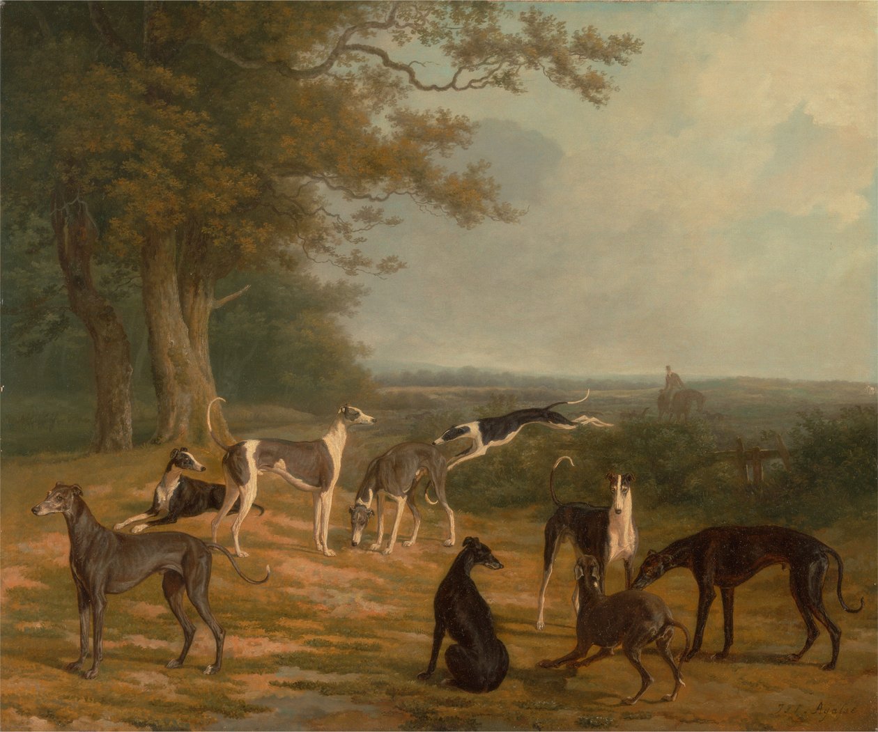 Neuf lévriers dans un paysage - Jacques-Laurent Agasse