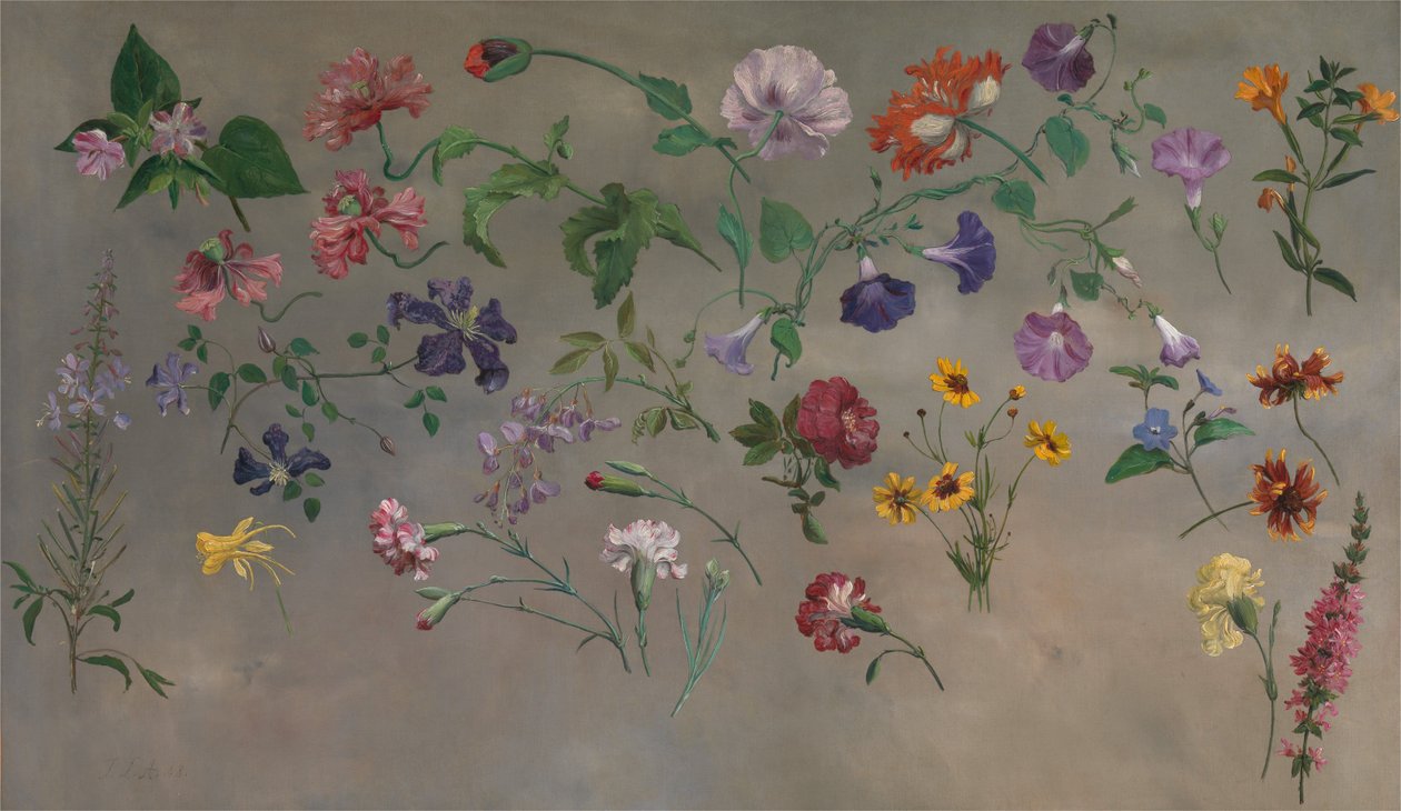 Études de fleurs [1985, Cormack, YCBA Concise Catalogue] - Jacques-Laurent Agasse