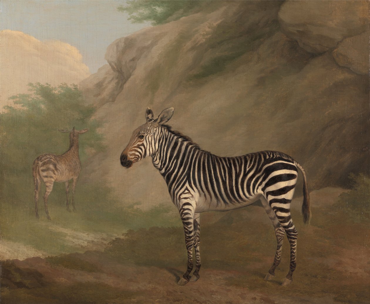 Zèbre - Jacques-Laurent Agasse