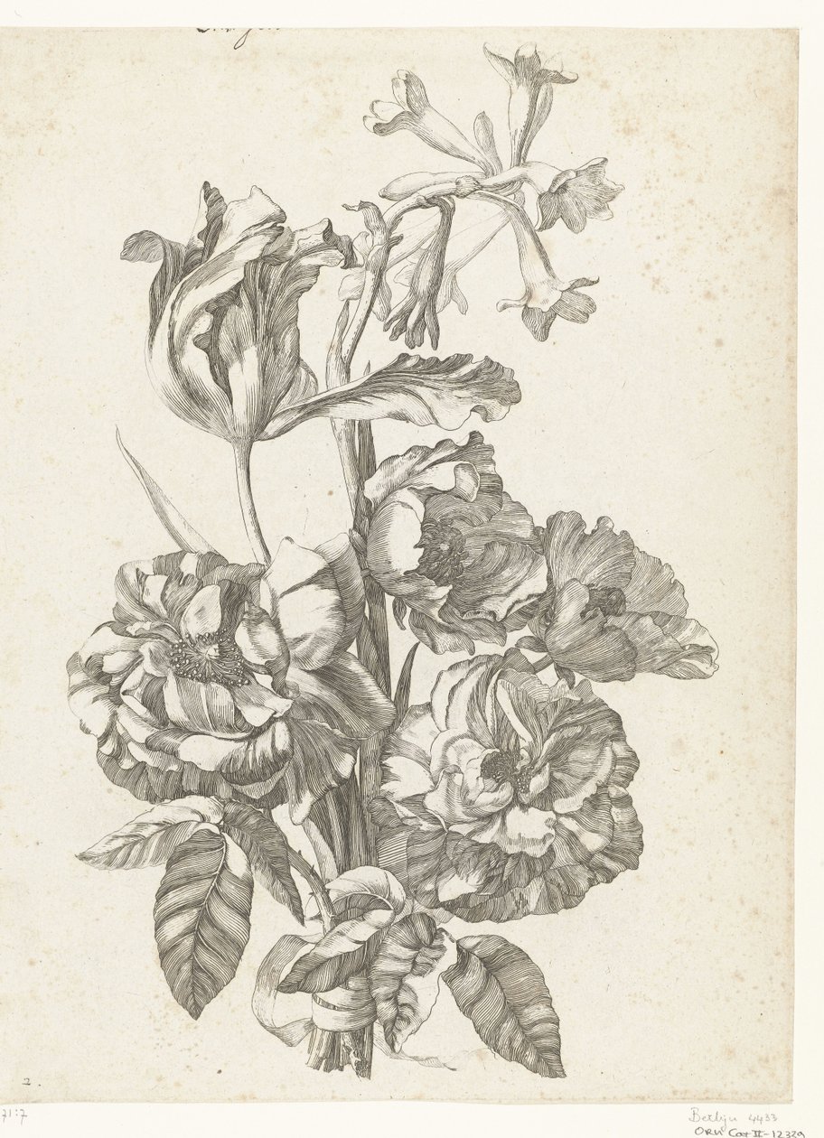 Bouquet avec pivoines, une tulipe et une brodiaea (Diverses Fleurs mises en Boucquets) - Jacques Bailly (I)