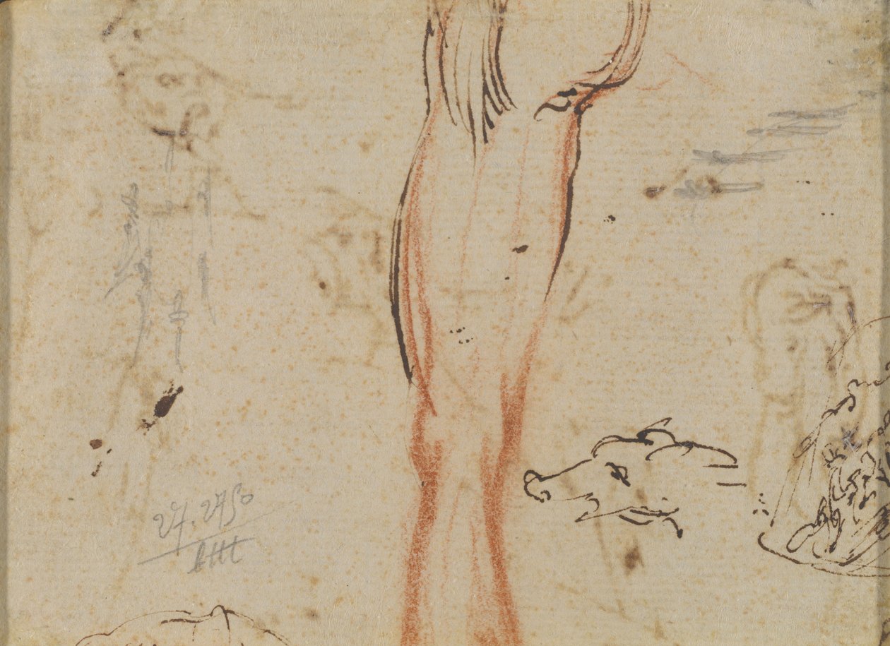 Une jambe et une tête de cochon - Jacques Callot