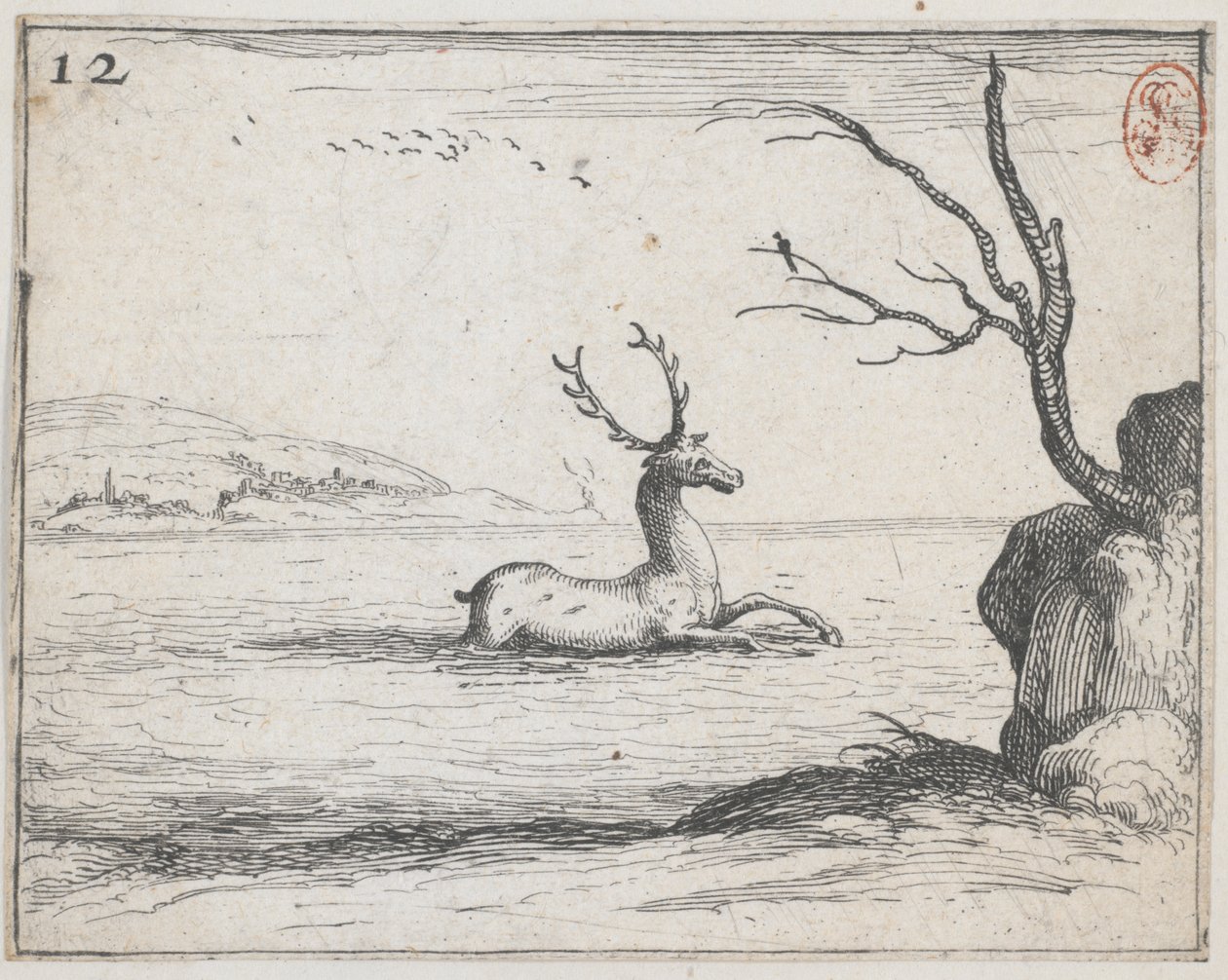Un cerf dans l