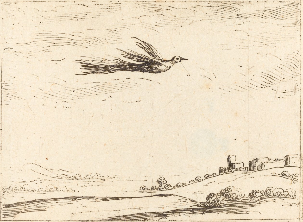 Oiseau de paradis - Jacques Callot