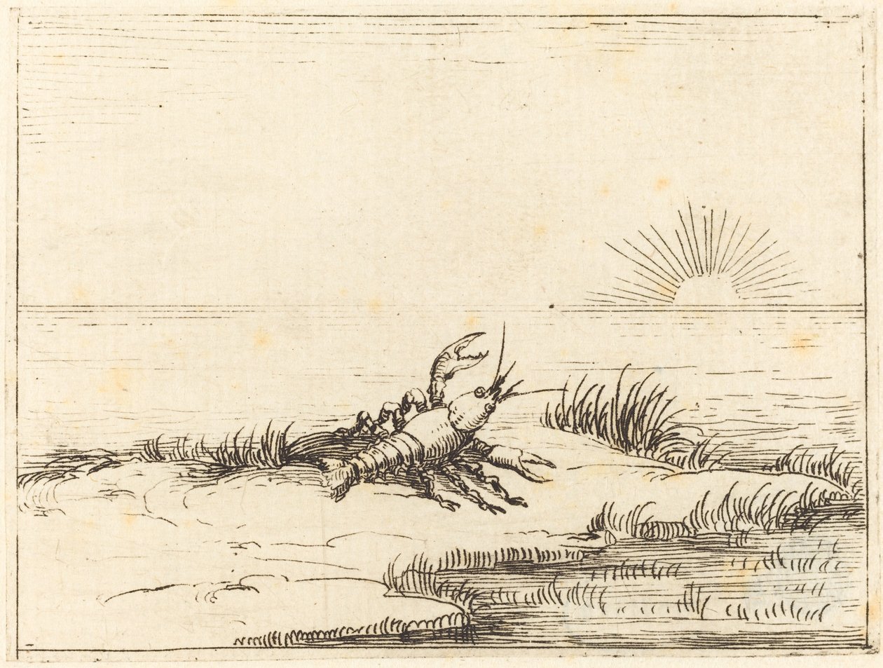 Écrevisse regardant le soleil - Jacques Callot