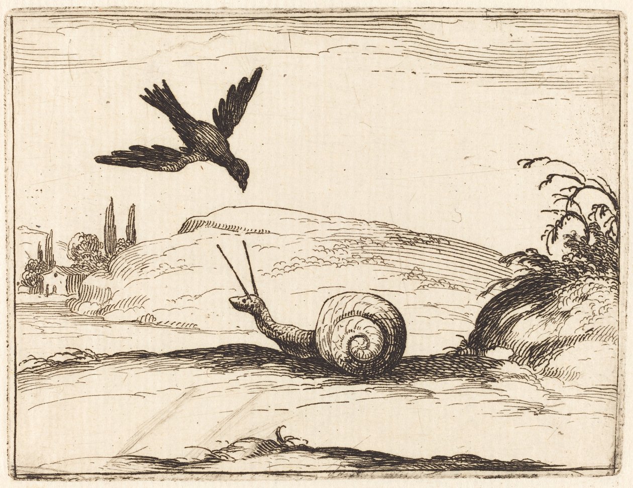 Corbeau et escargot - Jacques Callot