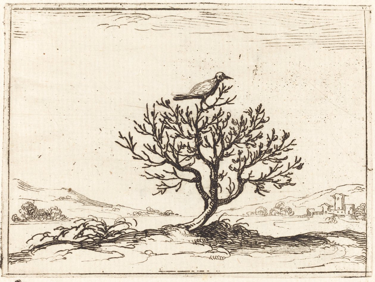Rossignol dans un buisson - Jacques Callot