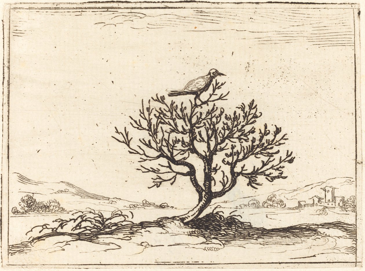 Rossignol dans un buisson, 1628 - Jacques Callot