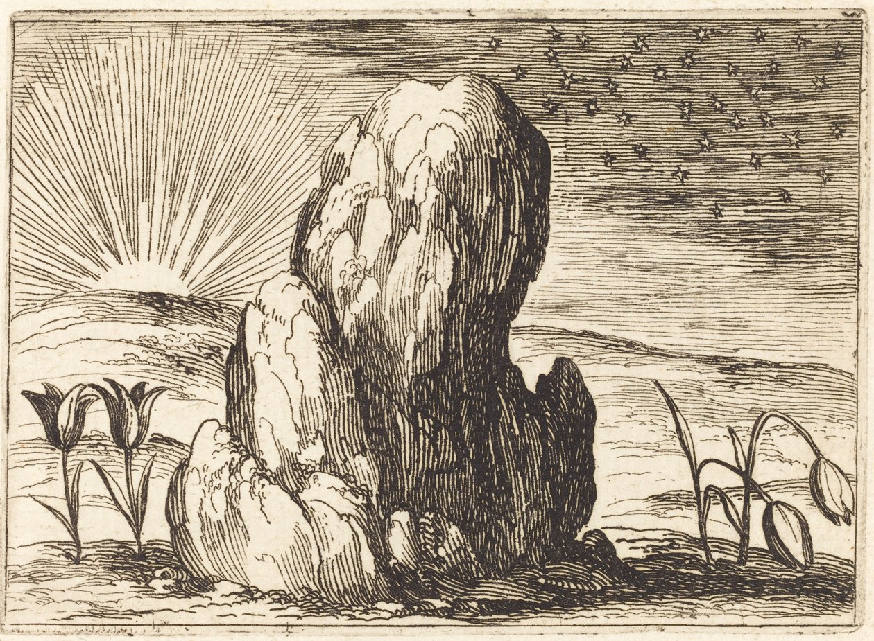 Les Tulipes et le Soleil - Jacques Callot