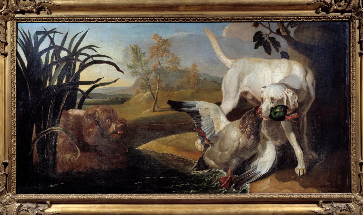 Braque tenant un colvert dans sa gueule. Peinture de Jacques Charles Oudry (1720-1778) XVIIIe siècle Paris, Arts Décoratifs - Jacques Charles Oudry