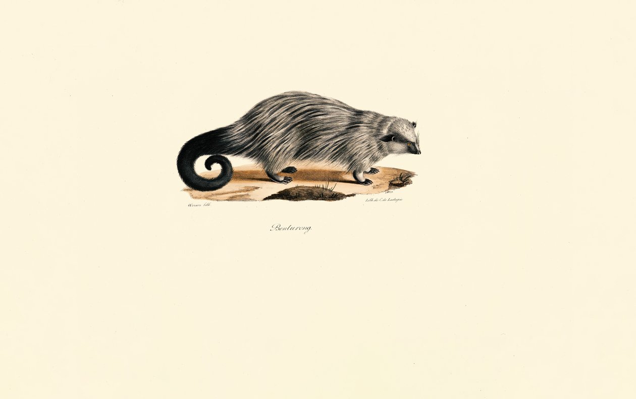  - Jacques Christophe Werner