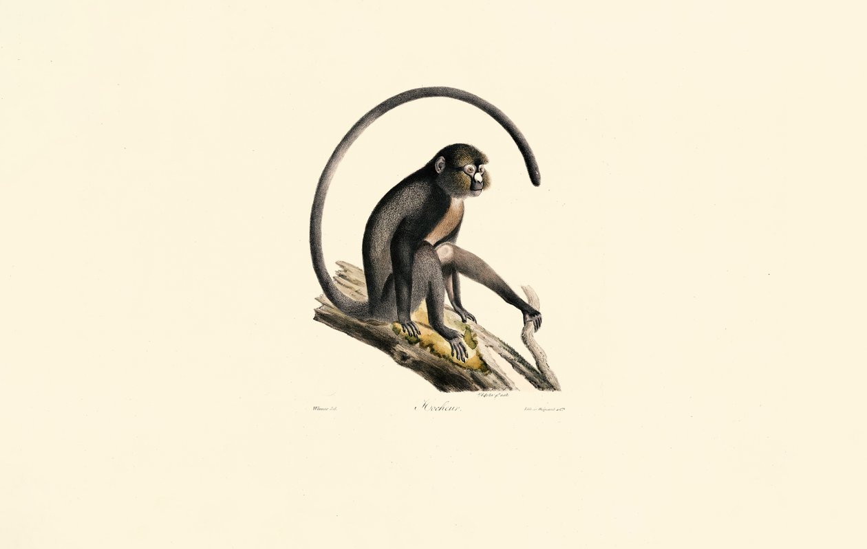  - Jacques Christophe Werner