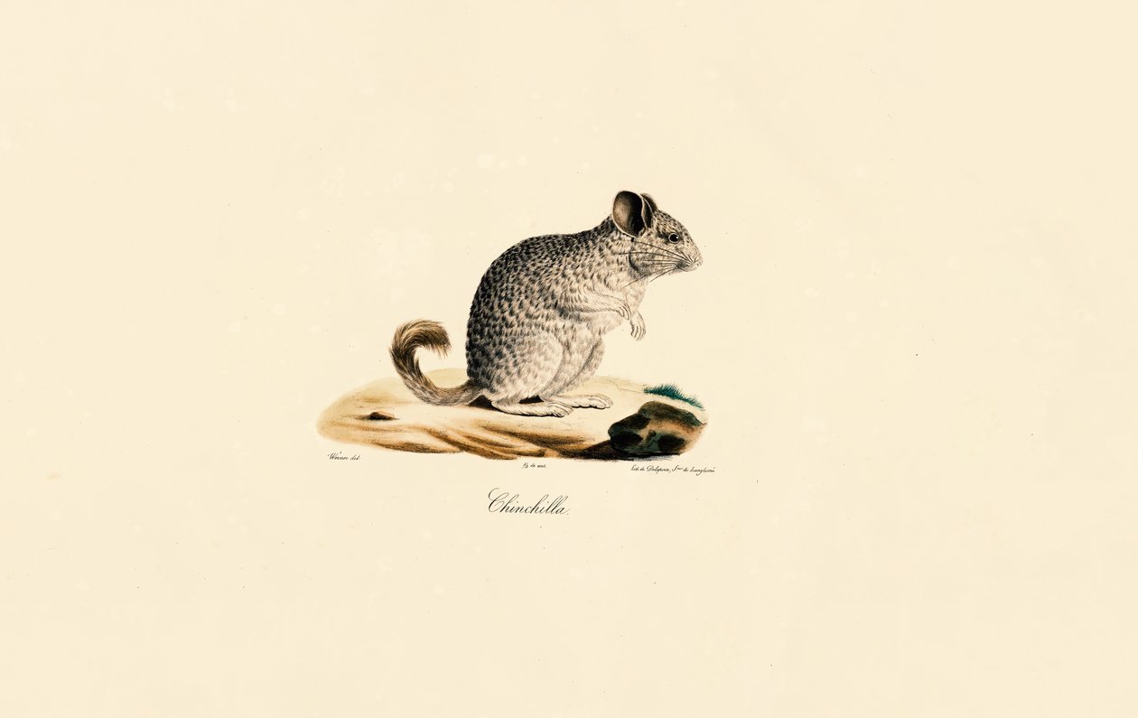 - Jacques Christophe Werner