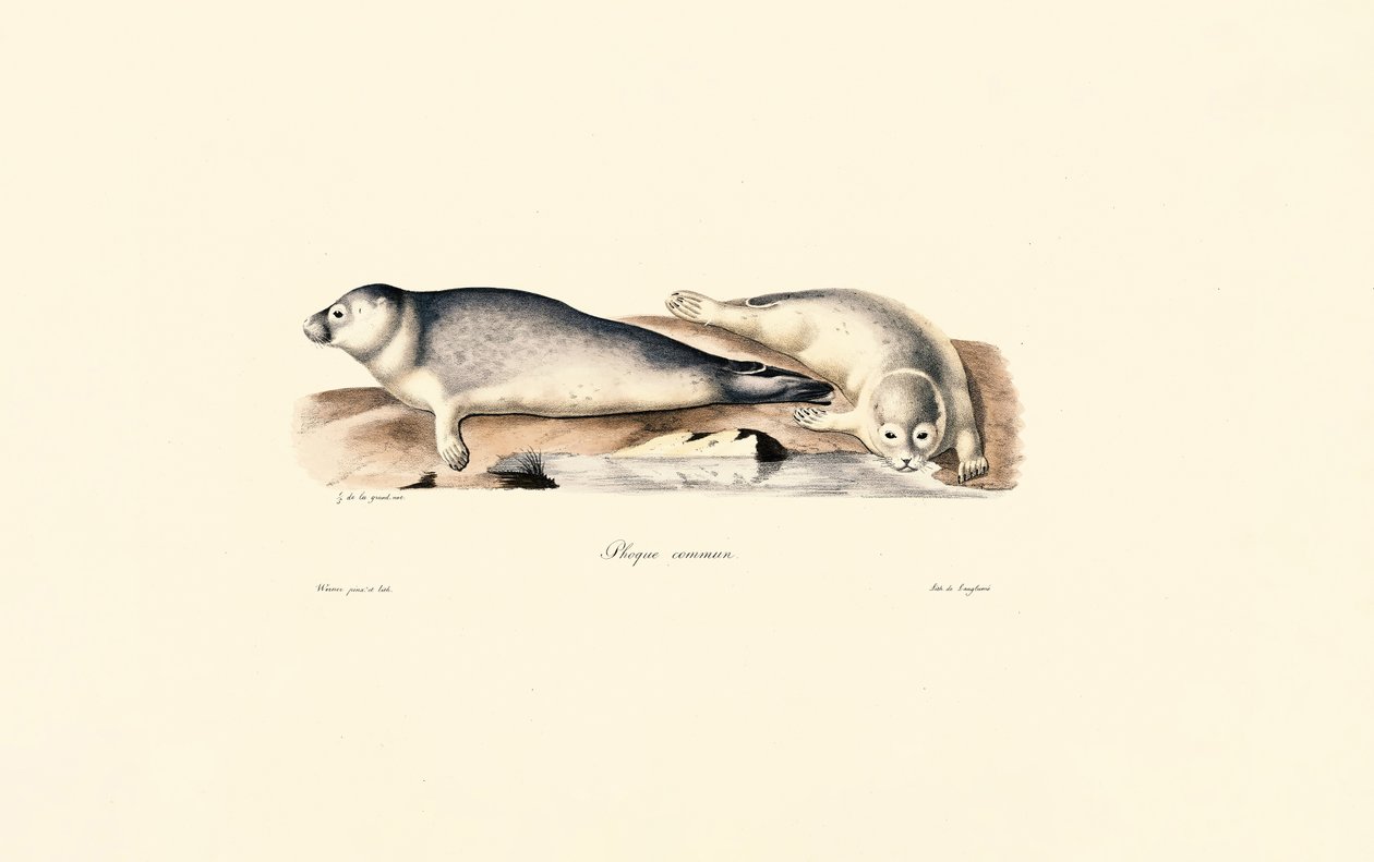 Sceau commun - Jacques Christophe Werner