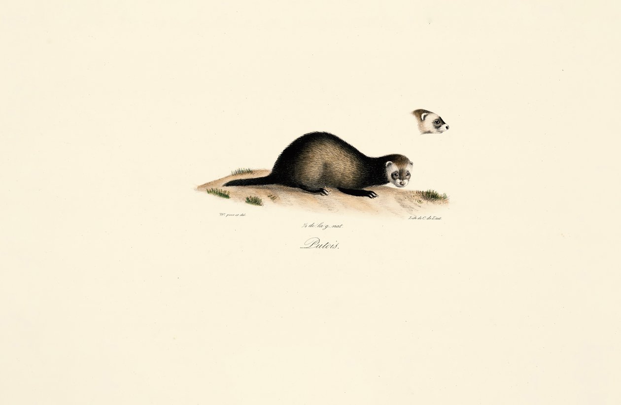  - Jacques Christophe Werner