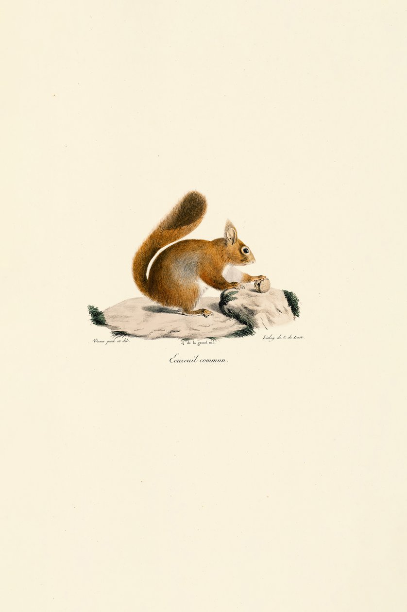  - Jacques Christophe Werner
