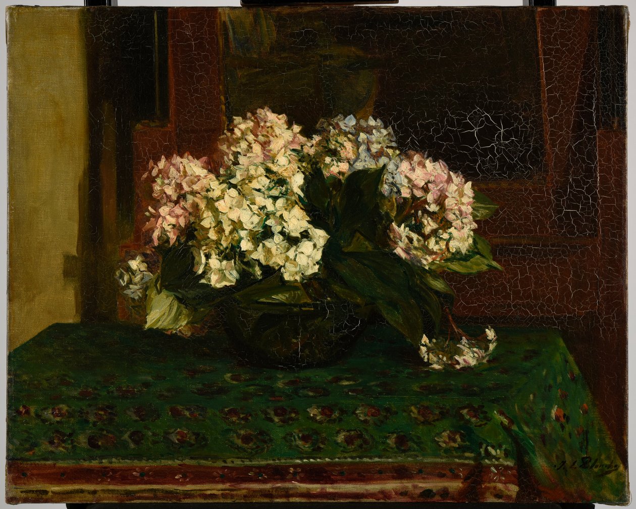 Hortensias (grande chaleur) - Jacques Emile Blanche