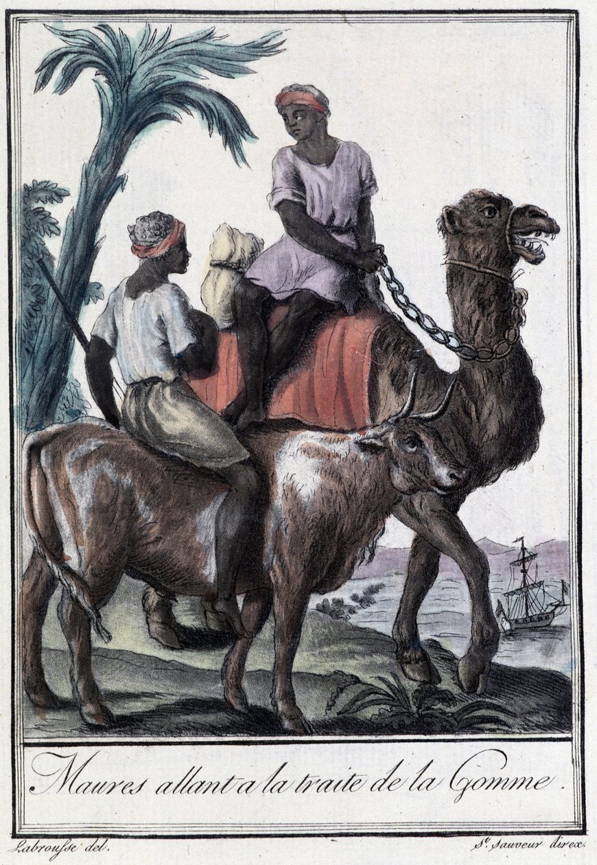 Maures allant à la traite de la gomme - Jacques Grasset de Saint Sauveur