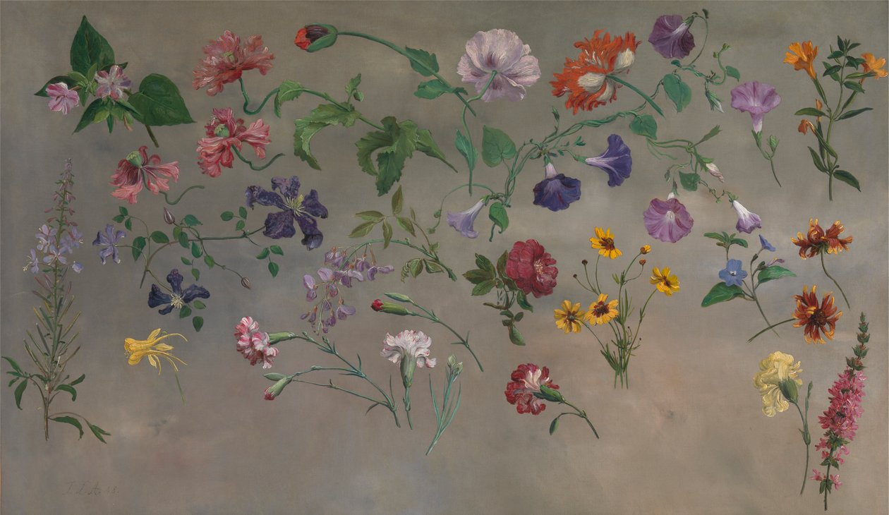 Études de fleurs [1985, Cormack, YCBA Concise Catalogue] - Jacques Laurent Agasse