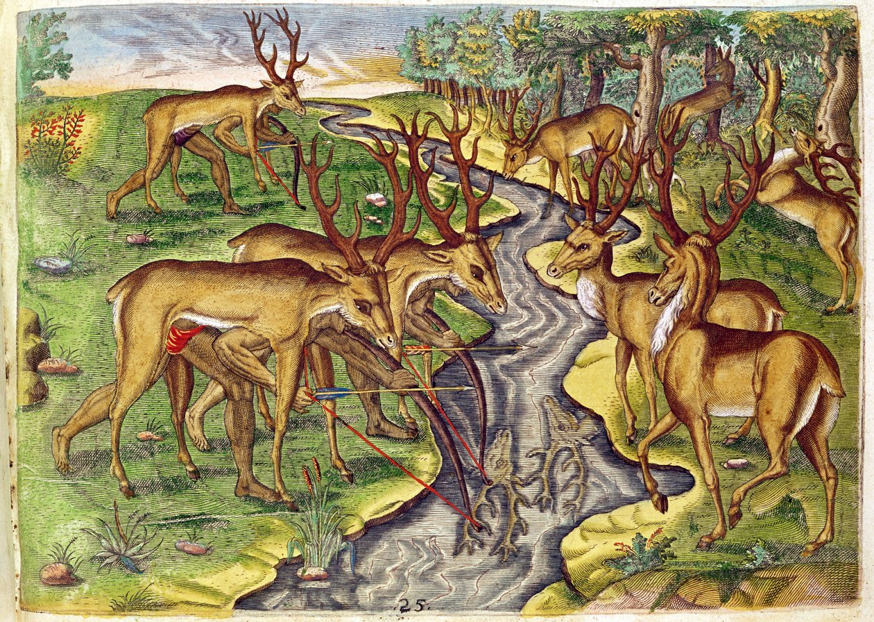 Chasse au cerf, de 