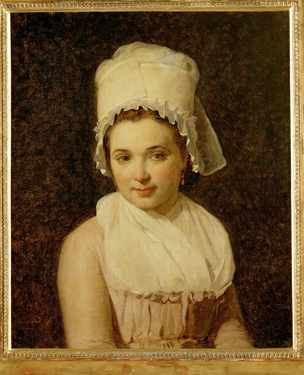 Catherine-Marie-Jeanne Tallard, épouse de François Lamy, maire de Sougere/Yonne ... - Jacques Louis David