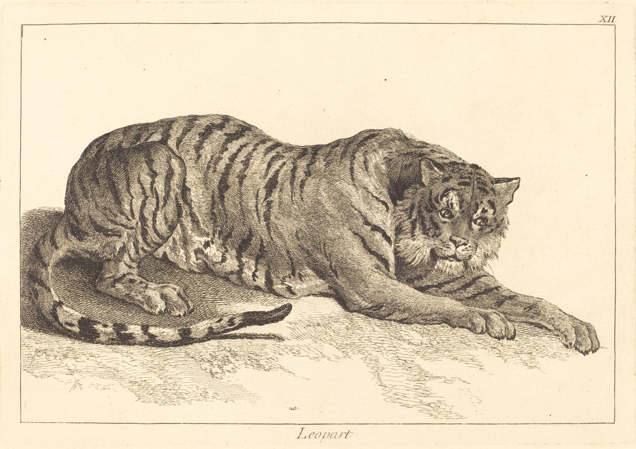 Léopard ou Tigre - Jacques Philippe Le Bas and Jean Eric Rehn after Jean Baptiste Oudry