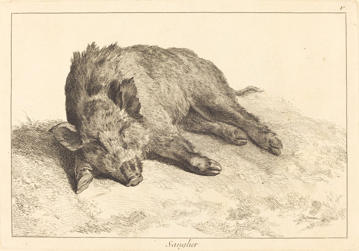 Sanglier couché, tête à gauche - Jacques Philippe Le Bas and Jean Eric Rehn after Jean Baptiste Oudry
