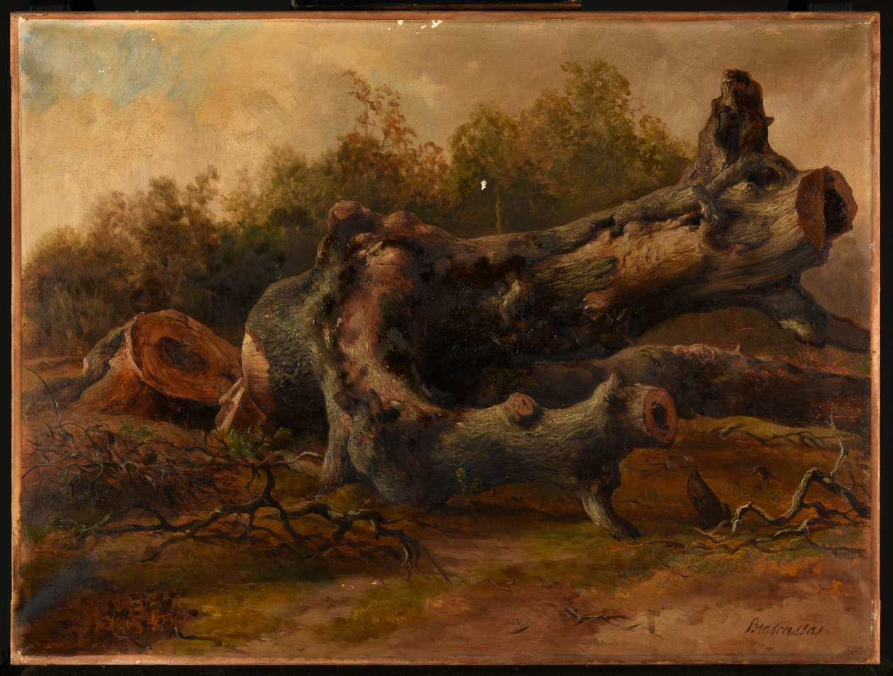 Arbre coupé - Jacques Raymond Brascassat