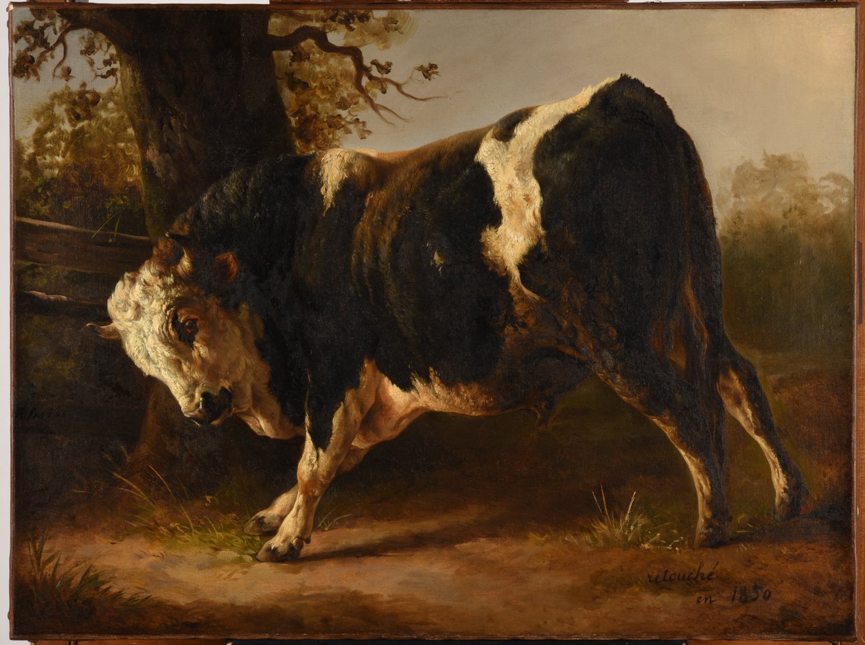 Taureau en courroux - Jacques Raymond Brascassat