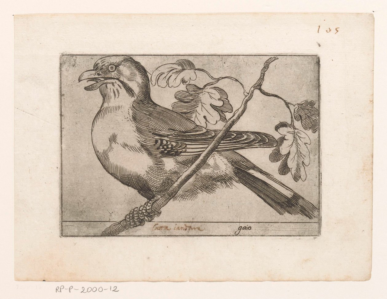 Geai - Jacques de Fornazeris (possibly)