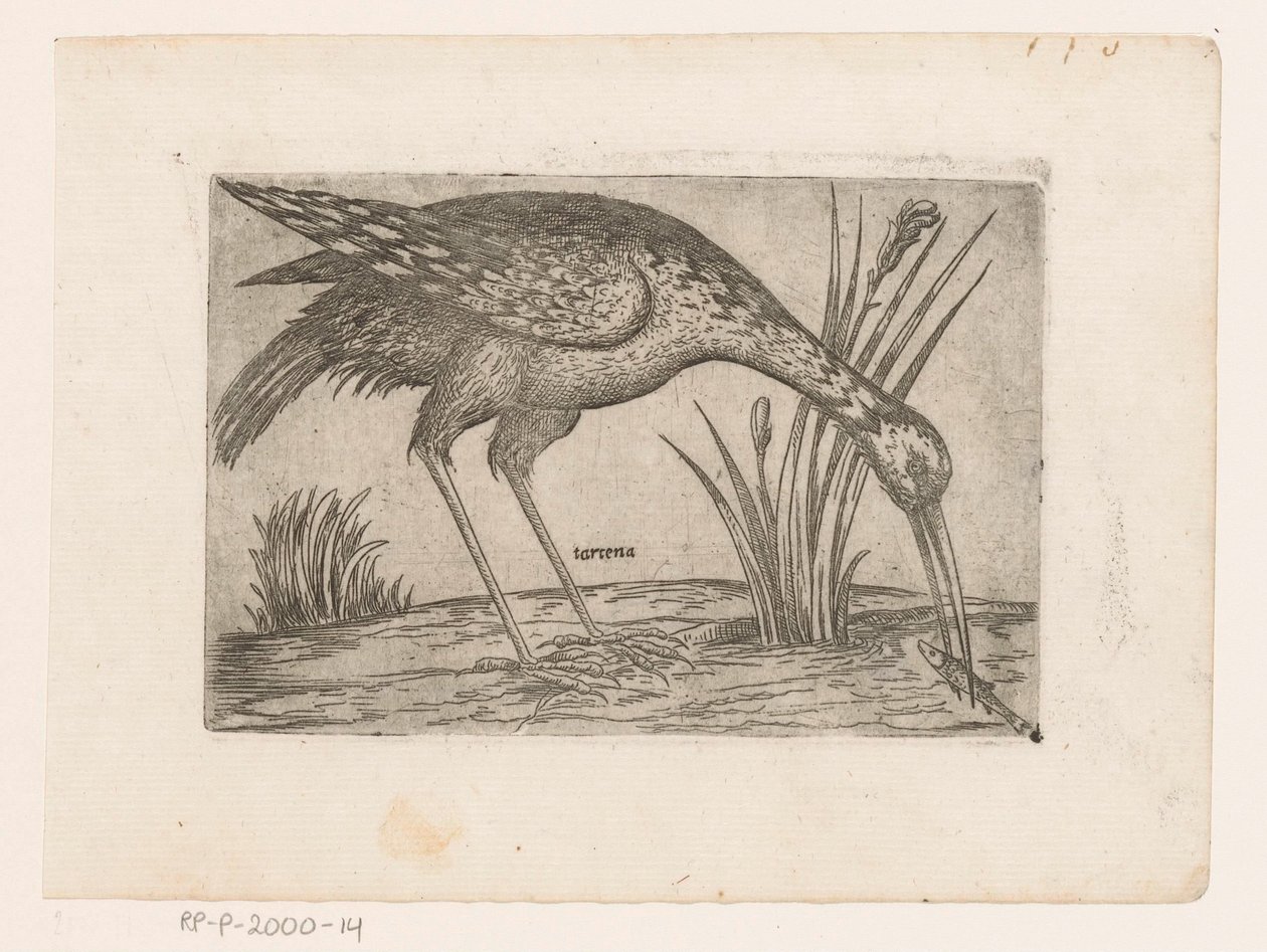 Oiseau - Jacques de Fornazeris (possibly)