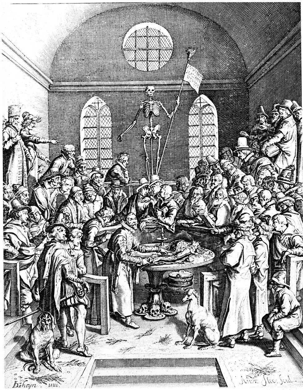 Théâtre anatomique de la fin du XVIe siècle, Jacques de Gehyn l