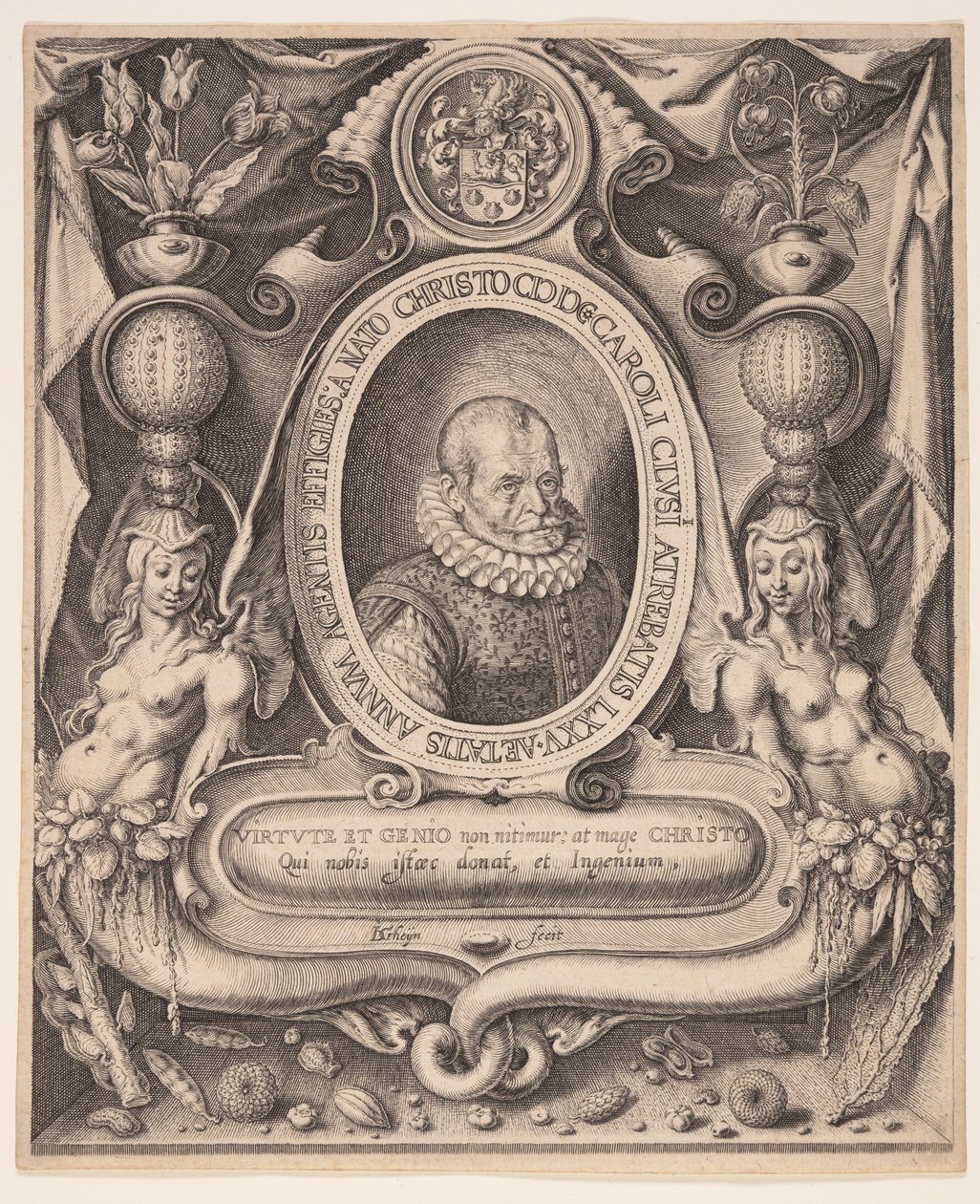 Carolus Clusius, médecin et botaniste - Jacques de Gheyn II