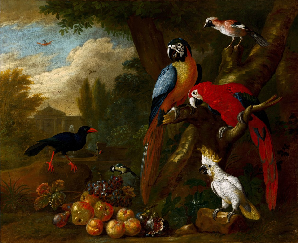 Deux aras, un cacatoès et un geai, avec des fruits - Jakob Bogdani or Bogdany