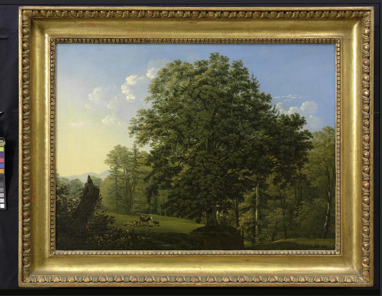 Paysage avec des vaches au pâturage - Jakob Alt