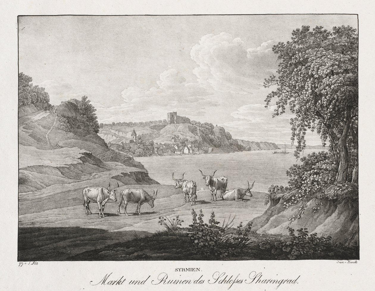 Syrmien, marché et ruines du château de Sharengrad - Jakob Alt