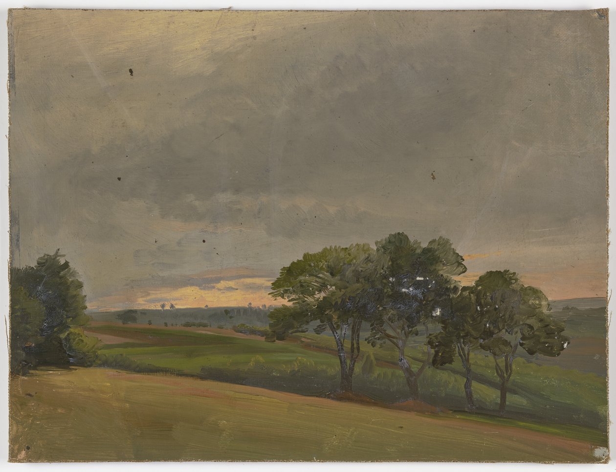 Prairie du soir avec des arbres - Jakob Becker