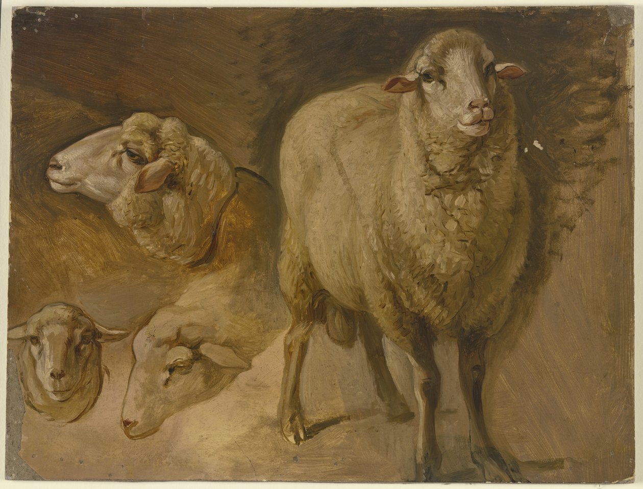 Moutons - Jakob Becker