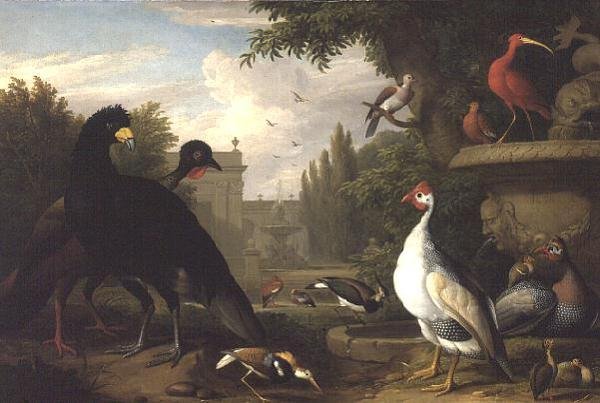Oiseaux exotiques dans un jardin ornemental - Jakob Bogdani or Bogdany