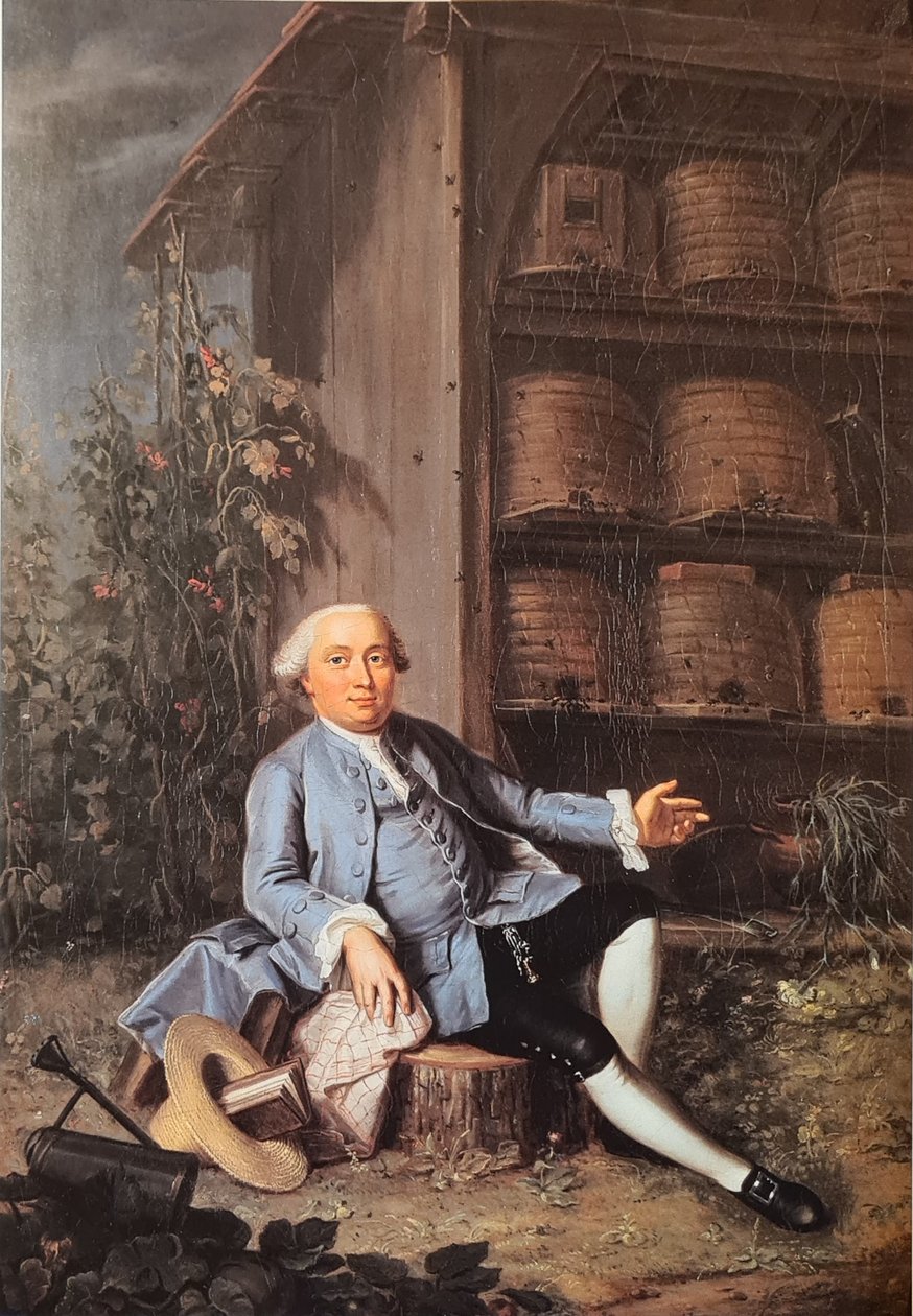 German : Portrait de Vincenz Frisching (1727-1790), membre du Grand Conseil, propriétaire terrien à Uttigen. - Jakob Emanuel Handmann