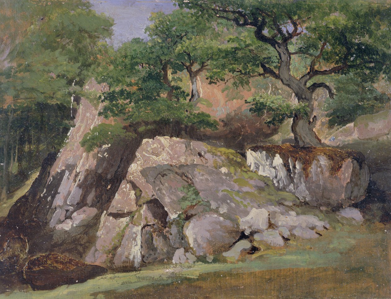 Vue de la vallée des rochers près de Mittlach - James Arthur O